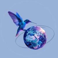 Beija-Flow | Estratégia, Impacto & Expansão Global logo - Similar company to Quinti Learning