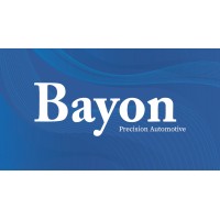Bayon Group logo - Similar company to Vilenna Educación