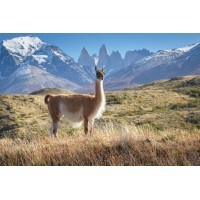 EcoChile & EcoArgentina Travel logo - Similar company to Goperse