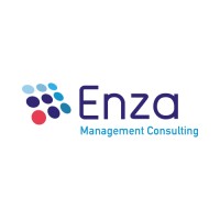 Enza Management Consulting logo - Similar company to Actalian