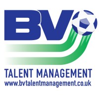 BV Talent Management LTD logo - Similar company to Keid Consulting