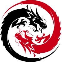 Slyrak Technologies logo - Similar company to Codetura Innovation & Technology