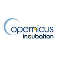 Copernicus Incubation logo - Similar company to Flero Starteam