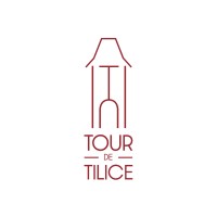 Domaine Tour de Tilice logo - Similar company to Foto.Com