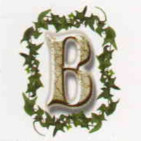 Bonheur Fabs - India logo - Similar company to F4Shion Labs