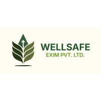 Wellsafe logo - Similar company to Indus Sevenseas Exim Llp