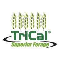 TriCal Superior Forage, a Legacy Agripartners Company logo - Similar company to Bailey Seed & Grain, Llc
