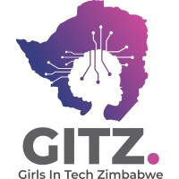 Girls In Tech Zimbabwe logo - Similar company to Omni Learning