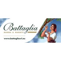 Battaglia Srl logo - Similar company to P.I.T. Srl