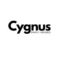CYGNUS CAPITAL logo - Similar company to Surtel Technologies