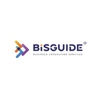 Bisguide Consulting
