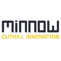 Minnow Digital logo - Similar company to Exeo Technology