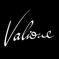 Valione Digital Studio logo - Similar company to Powershell Du Zero