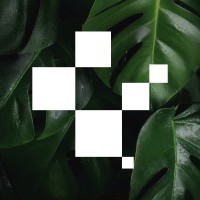 Nettl of Kidderminster | Pixel Design logo - Similar company to Nettl Of Newark & Grantham