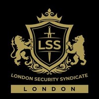 London Security Syndicate logo - Similar company to London Security Engineering