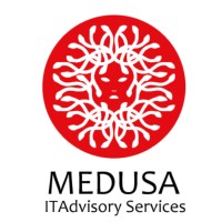 Medusa Consulting