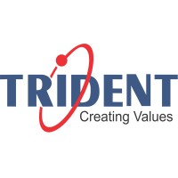 Trident Info UK Ltd logo - Similar company to Dynamics Learning Academy