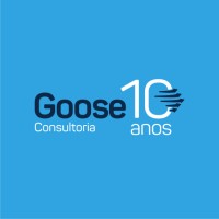 Goose Consultoria logo - Similar company to Iconee