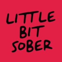 Little Bit Sober logo - Similar company to Take One Video Agency