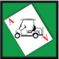 ACE of Carts logo - Similar company to Linyi Lingong New Energy Technology Co., Ltd