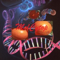 Molcytop TechnoLabs & Scientific Centre logo - Similar company to Recah Solutions Ltd