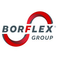 BORFLEX logo - Similar company to Actia Railway