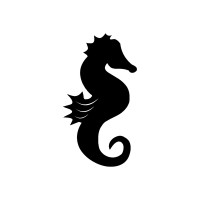 Sunny Co Clothing logo - Similar company to Sugarbearpro