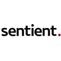 Sentient IT Services logo - Similar company to Tironem