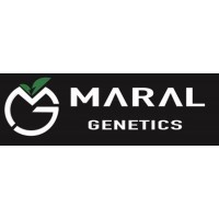Maral Genetics Tarım Sanayi ve Tic. A.Ş. logo - Similar company to Avesa