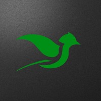 Skylark Media LLC logo - Similar company to Interval Films Ltd