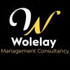 Wolelay Management Consultancy ወለላይ የስራ አመራር ማማከር አገልግሎት logo - Similar company to Bisrat International