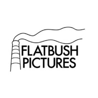 Flatbush Pictures logo - Similar company to Masterdis Gmbh
