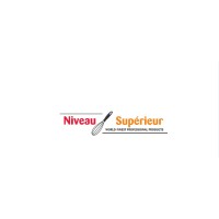 NIVO SUPERIOR logo - Similar company to Detectra.Io