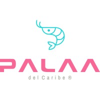 Palaa del Caribe logo - Similar company to Devwear