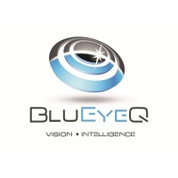 BluEyeQ LLC logo - Similar company to Red Wolf Reliability