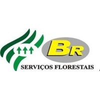 BR SERVIÇOS FLORESTAIS logo - Similar company to Br Florestal