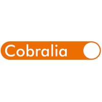 Cobralia S.I.R. logo - Similar company to Npl Broker