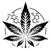 PhytoLab logo - Similar company to Microbio Consulting