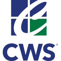 Custom Window Systems
