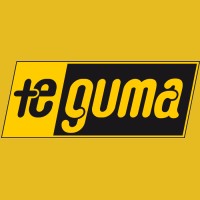 Teguma logo - Similar company to Meder Commtech Gmbh