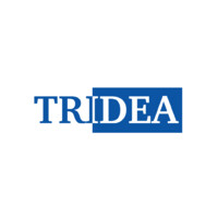 Tridea Oy - BisLenz Intelligence Company logo - Similar company to Iot Bkry