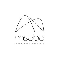 Msebe Investment Holdings (Pty) Ltd logo - Similar company to Finishline Technologies