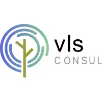 VIS Consul logo - Similar company to Ingenium.ar | Ingeniería creativa