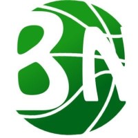 BballNaija logo - Similar company to Fancified