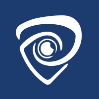 Bridze Research logo - Similar company to Mint Metrix - Market Research, Digital Marketing, Custom Analytics