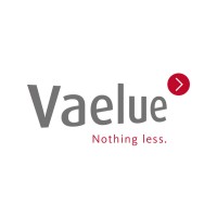 Vaelue BV logo - Similar company to Mrgn