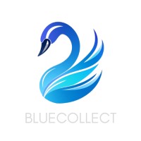 Bluecollect logo - Similar company to Pentaskill