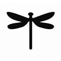 Dragonfly logo - Similar company to Strategy