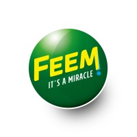 Feem International logo - Similar company to Feem