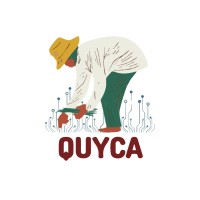 Quyca logo - Similar company to Beeghee Inc
